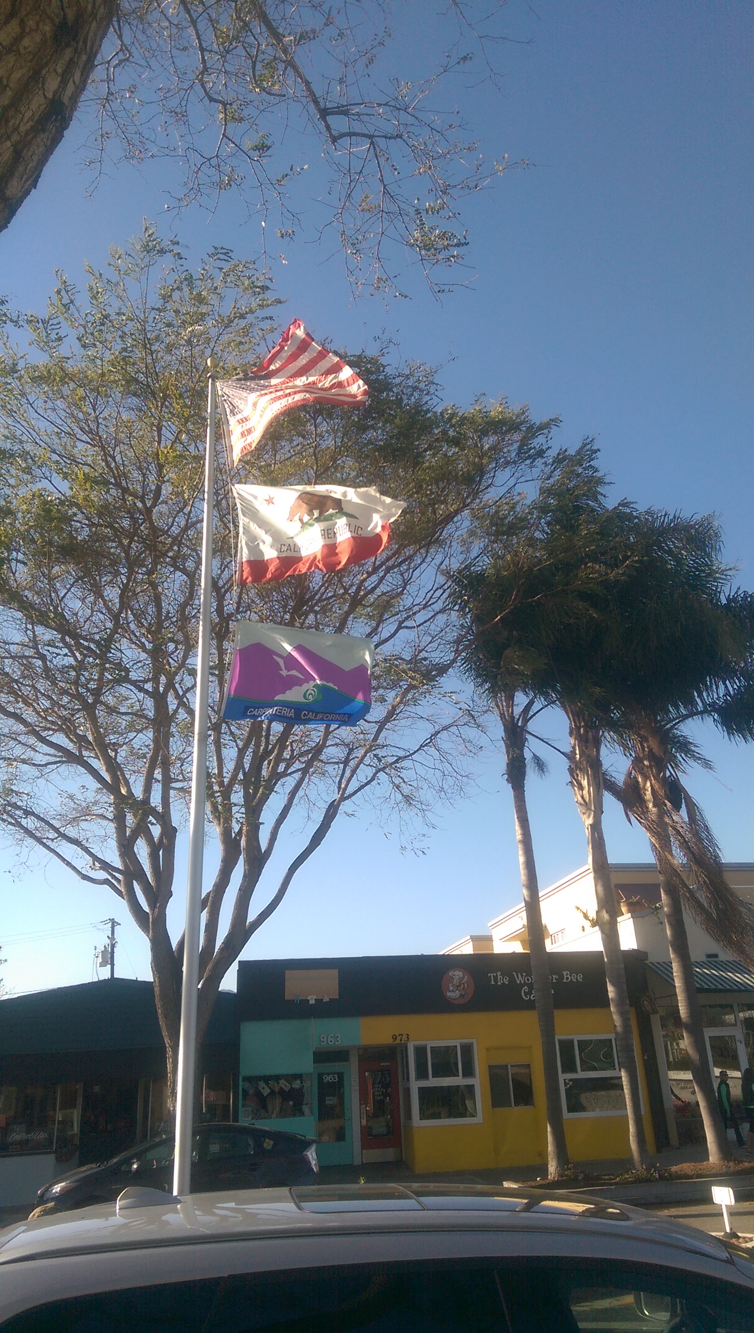 临走前拍的旗杆，从上到下分别是美国、加州、Carpinteria的旗帜